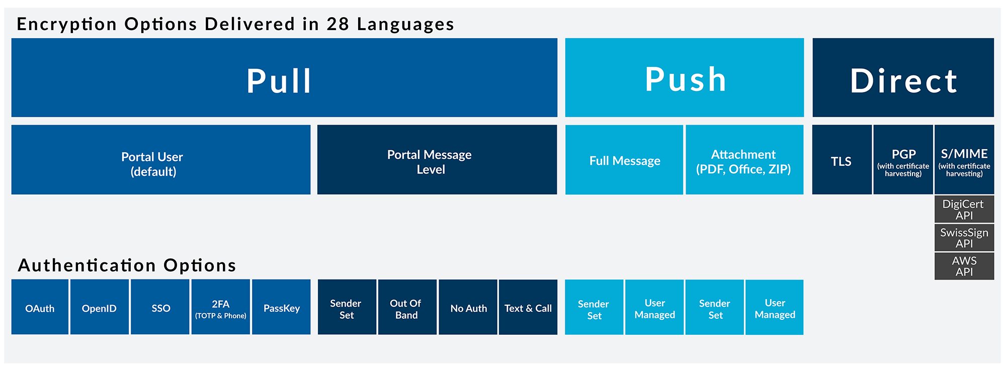 Graphic illustrating Echoworx's encryption delivery options